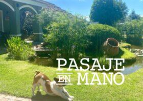 Guía de alojamientos Pet Friendly en Córdoba
